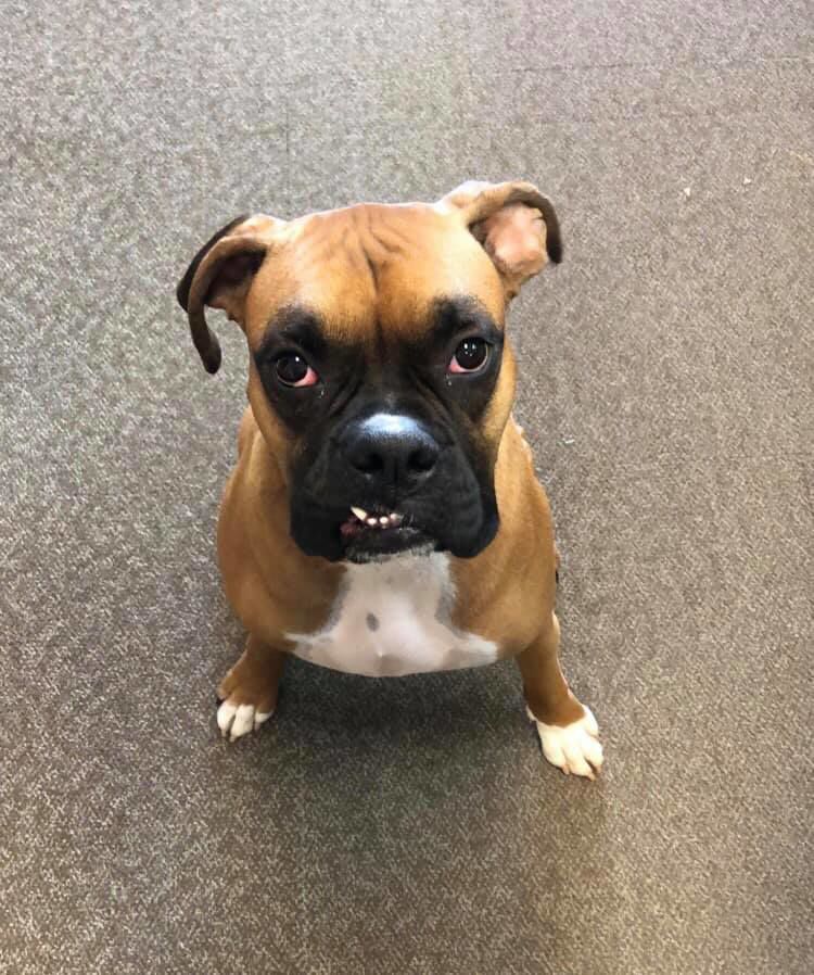 Such a sweet face!